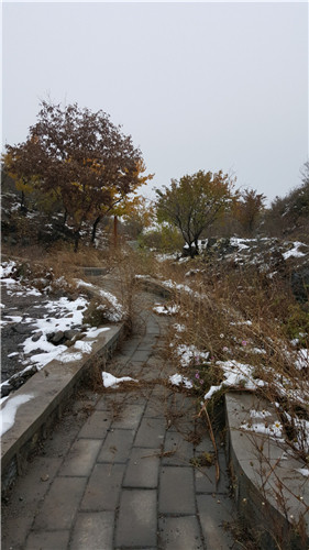 初雪的日子，開(kāi)比亞迪e6電動(dòng)車檢測(cè)一下低溫續(xù)航
