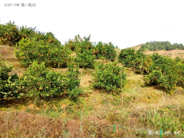 EV英雄會(huì)|奇瑞日志Day5:他鄉(xiāng)溫情