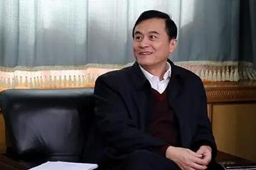 安进：建议对电动汽车不限行不限牌