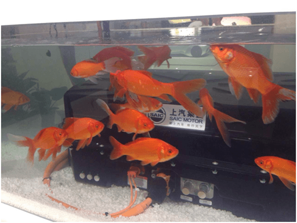 水族箱“養(yǎng)”電池 北京車展不可錯(cuò)過的三大景點(diǎn)
