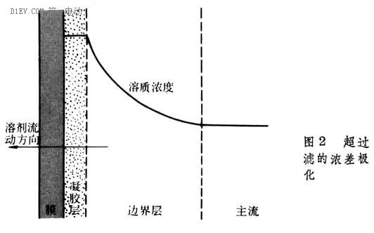 第一电动网新闻图片