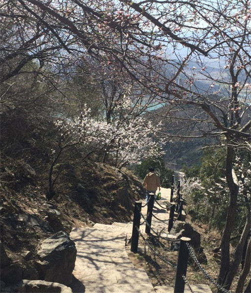 開(kāi)著江淮iev5綠色出行 國(guó)家莽山森林公園風(fēng)鈴節(jié)