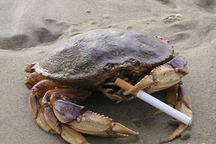 大牛说征文 |  寻找第一批新能源汽车车主，说出你的心声