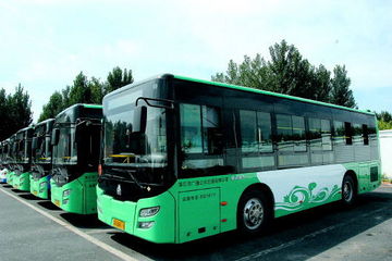 安徽六安新增100辆新能源公交车 春节前投入运营