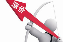 新能源汽車“漲價(jià)”后，消費(fèi)者還能接受嗎？