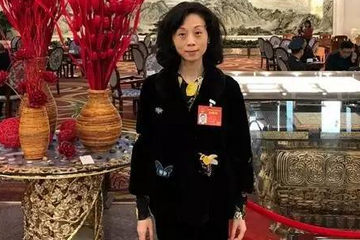 全國人大代表王麒：電動物流車前景看漲，但仍需“補課”