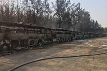 楊柳絮燃燒致北京蟹島電動(dòng)大巴著火，北京市政府發(fā)布清理?xiàng)盍醴乐拱l(fā)生火災(zāi)緊急通知