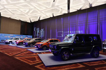 汽车行业合资巨头的新能源车型为何不大批进入中国？