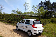 雷丁结缘御用贡品六安瓜片