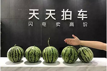 “拍瓜”大戰背后：小巨頭的不同模式之爭