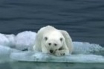 日产LEAF电动汽车创意广告-Polar Bear