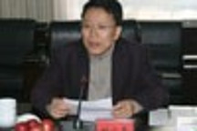長沙副市長：發展電動車是解決交通擁堵好方式