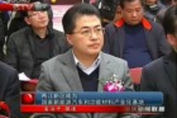 两江新区成国家新能源汽车功能材料产业化基地