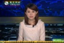 美國參議員反對中國企業(yè)收購美電池商