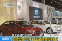 自主品牌車企份額下降