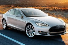 大紅人“特斯拉”和他的中國(guó)小伙伴們