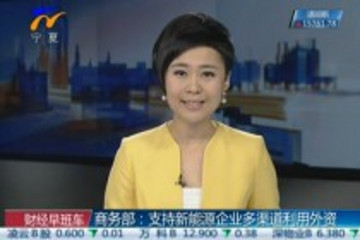 商务部支持新能源企业多渠道利用外资