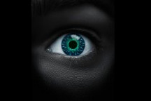 首届中国新能源汽车新闻奖正式启动