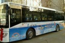 山东省开通首条免费纯电动公交车线路