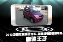 2013中國年度綠色汽車年度純電動微型車獎：唐駿王子