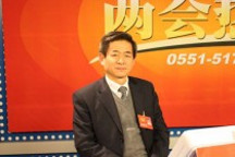 全國政協(xié)委員趙韓：必須發(fā)展微型電動車