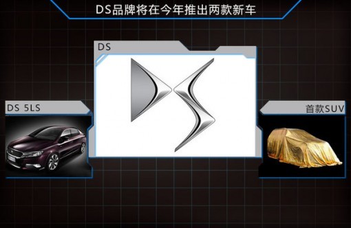 DS