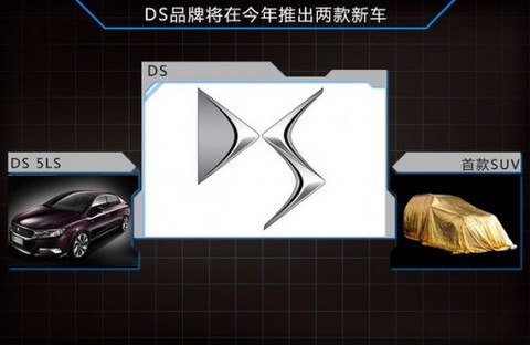 DS