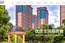 D2轮融资背后：恒大要干的事，威马+雅居乐提前干了？