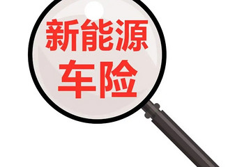 被忽视的保险公司