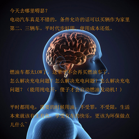 插电式混合动力汽车车主大脑.jpg