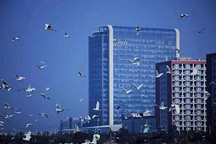 从TDK、苹果、宝马到特斯拉，宁德时代电池版本的 Model 3 表现会更好？