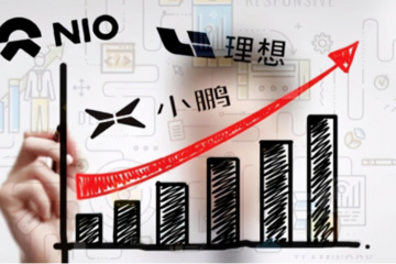 谁在崛起？3大关键词、8000字复盘车圈这半年