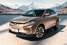 威马现身说法，交付到底是不是一件难事？