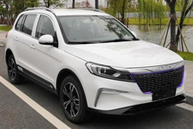 初出茅庐就推出两款新能源车，大乘能凭借布局新能源站稳脚跟吗？