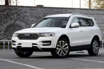 WEY已销得谁憔悴？