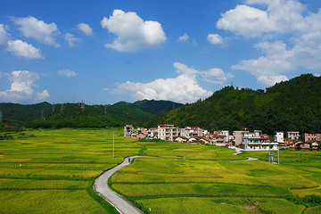 汽车再下乡，会不会沦为一场薅羊毛行动？