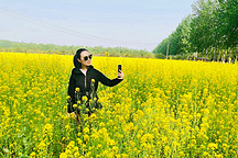 电车去哪儿玩 | 北京疫情防控应急响应降二级，还不开上电车去大美平谷