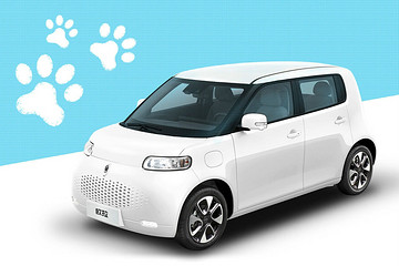 一电调查 | 外观是卖点也是槽点？六成受访者认为欧拉白猫可复制R1的成功