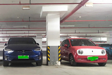 车主故事 | 开了欧拉R1，毛豆X就要往后排了