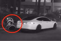 替特斯拉伸冤：我没有撞死机器人！我们的车是全世界最安全的！