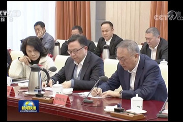 王傳福談高質量發展：堅持技術創新，深耕制造業