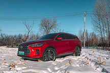 比亚迪2020第一季度：身陷囹圄，如何自救