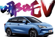 纯电车头部品牌三月销量汇总