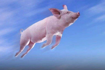 充电桩市场大洗牌：风还没停，猪却在不断往下掉