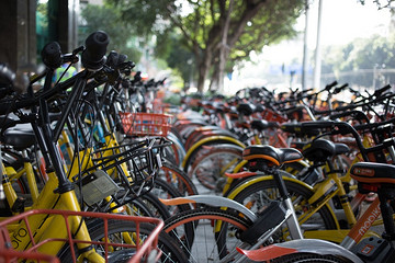 共享单车大败局