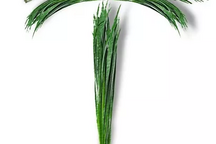 哎，给女儿买特斯拉被