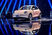 长城欧拉涉嫌销售欺诈，700位好猫车主震怒了