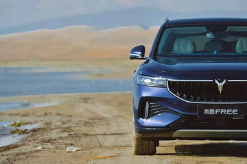 岚图FREE一周年，“最挑剔车主”对岚图的告白和劝谏