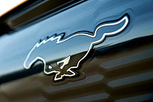 福特电马车主：车很好车机不行，服务很差全靠车主抱团取暖