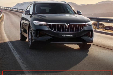 岚图卢放的“长期主义”引用户质疑：这是眼下销量不振的遮羞布